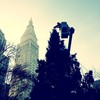 Placing the star on the Madison Square Park tree