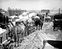 Historic 1899 photo: Horse carts carry snow to the river after a blizzard